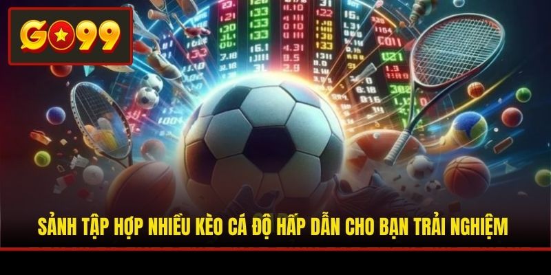 Sảnh tập hợp nhiều kèo cá độ hấp dẫn cho bạn trải nghiệm