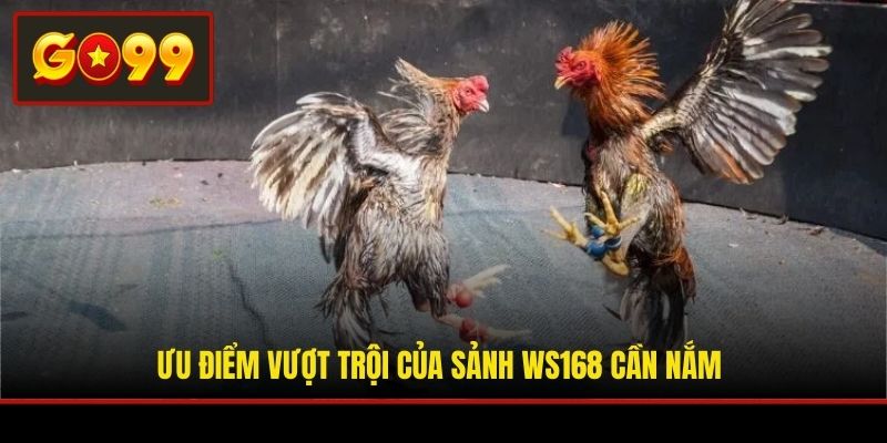 Ưu điểm vượt trội của sảnh WS168 cần nắm